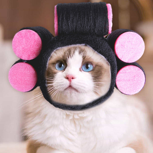 Curly Hair Pet Hat - Add a Playful Touch with this Funny Cat Dress-Up Accessory